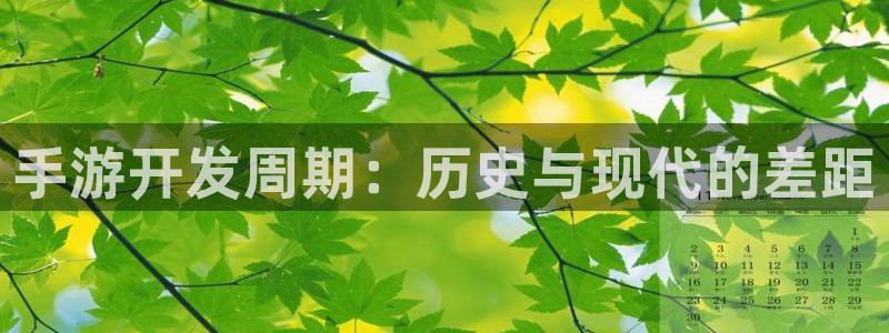 庄闲游戏代理：手游开发周期：历史与现代的差距