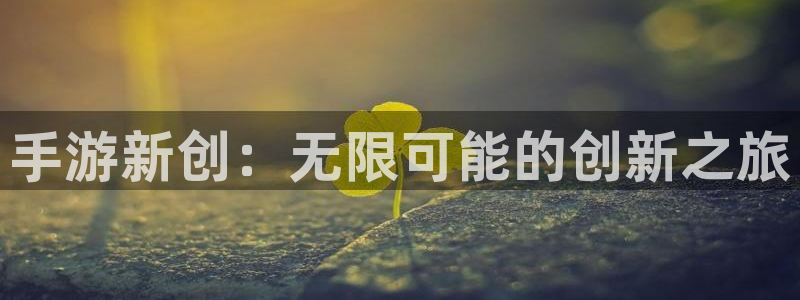 庄闲玩法补牌规则：手游新创：无限可能的创新之旅