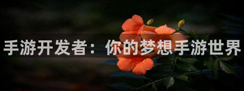 庄闲游戏的具体规则是什么?：手游开发者：你的梦想手游世界