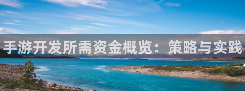 庄闲规则怎么玩：手游开发所需资金概览：策略与实践