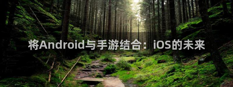 庄闲和游戏：将Android与手游结合：iOS的未来