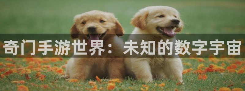 庄闲app娱乐下载：奇门手游世界：未知的数字宇宙