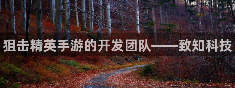 庄闲最稳公式打视频：狙击精英手游的开发团队——致知科技