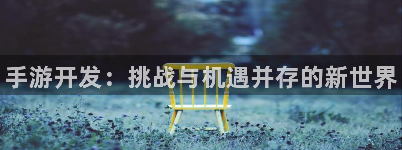 庄闲玩法规则详解：手游开发：挑战与机遇并存的新世界