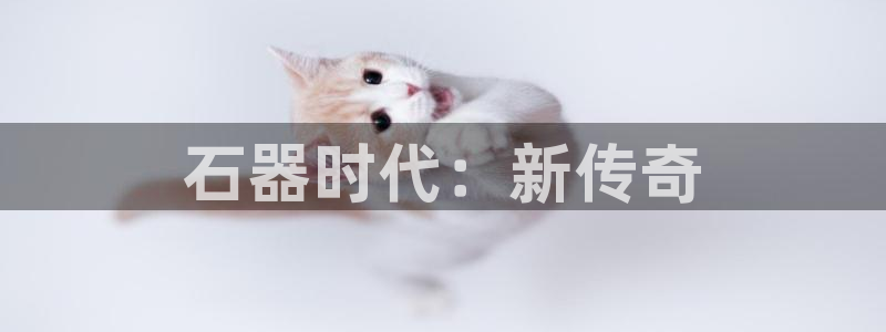 庄闲游戏稳赢方法：石器时代：新传奇