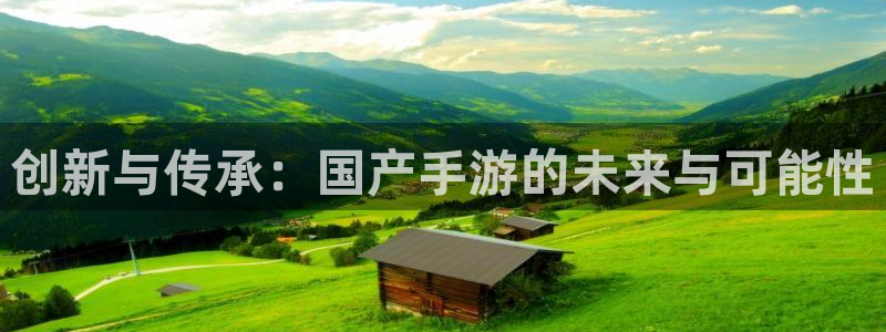 庄闲是什么意思麻将：创新与传承：国产手游的未来与可能性