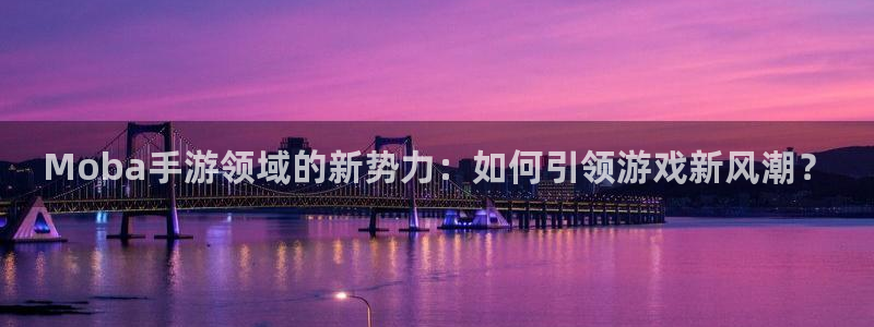 庄闲玩法补牌规则：Moba手游领域的新势力：如何引领游戏新风