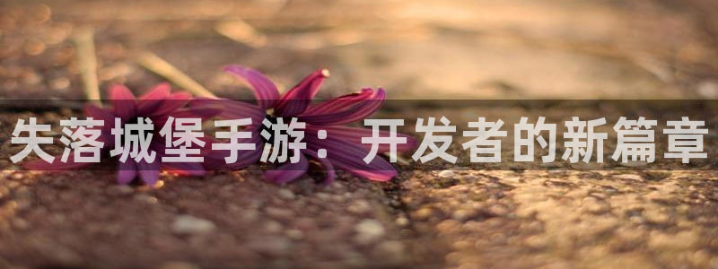 庄闲的80%赢法线路检测：失落城堡手游：开发者的新篇章