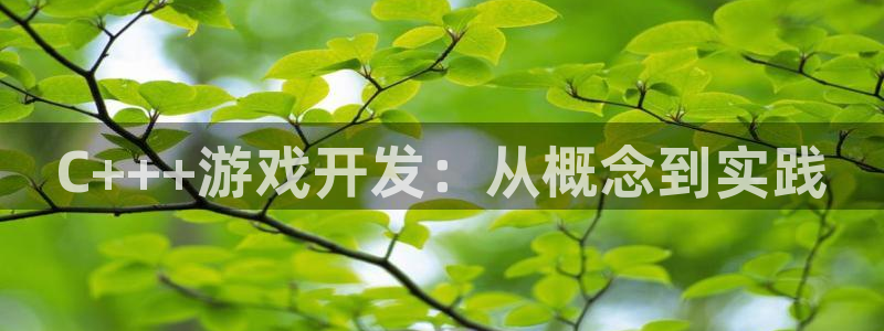 庄闲游戏官网入口：C+++游戏开发：从概念到实践