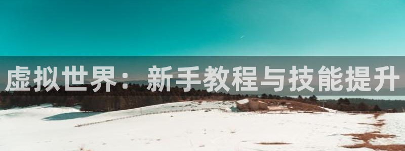 庄闲规则怎么玩：虚拟世界：新手教程与技能提升