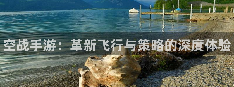 闲庄和游戏官网：空战手游：革新飞行与策略的深度体验