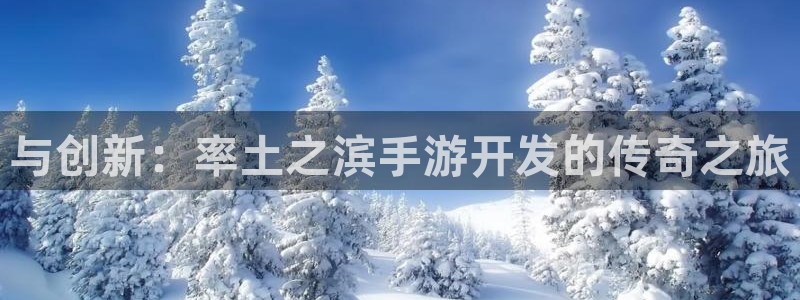 庄闲游戏哪里：与创新：率土之滨手游开发的传奇之旅