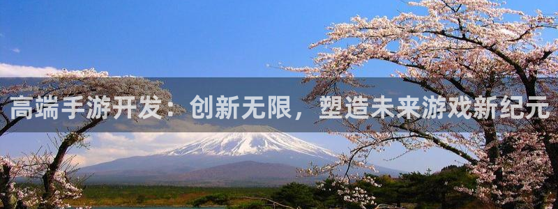 庄闲游戏怎么玩：高端手游开发：创新无限，塑造未来游戏新纪元