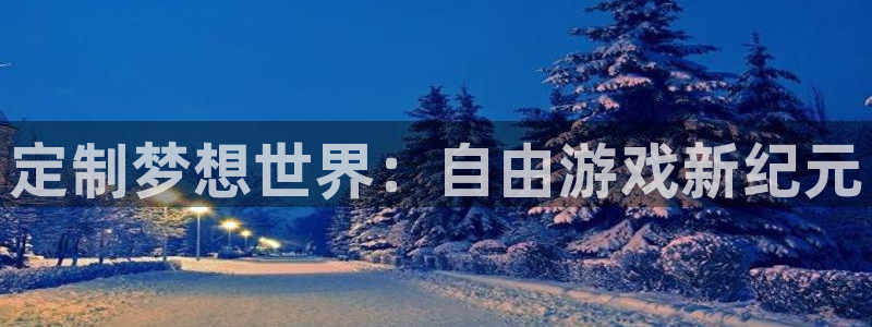 庄闲和补牌规则：定制梦想世界：自由游戏新纪元