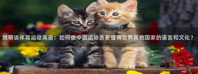 必威betway西汉姆联