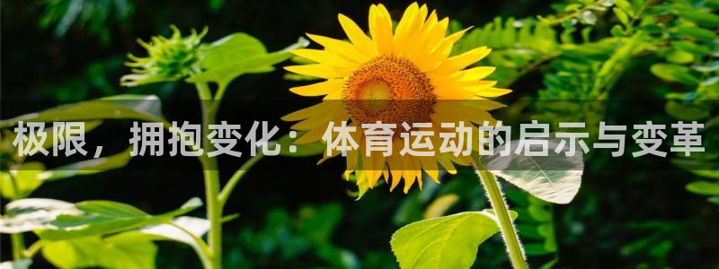 必威betway西汉姆联