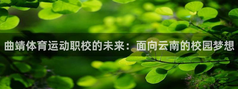 betway西汉姆官网：曲靖体育运动职校的未来：面向云南的校园梦想