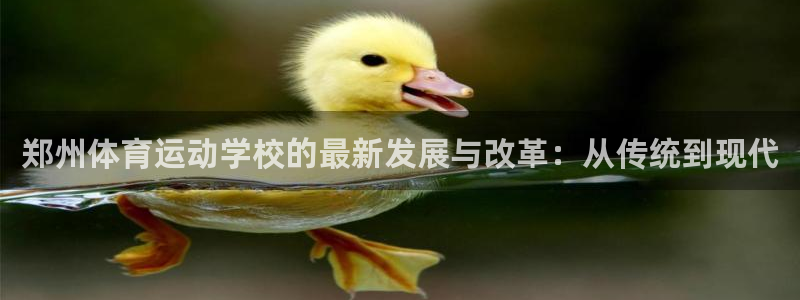 betway西汉姆：郑州体育运动学校的最新发展与改革：从传统到现代